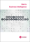 Wat is Business Intelligence